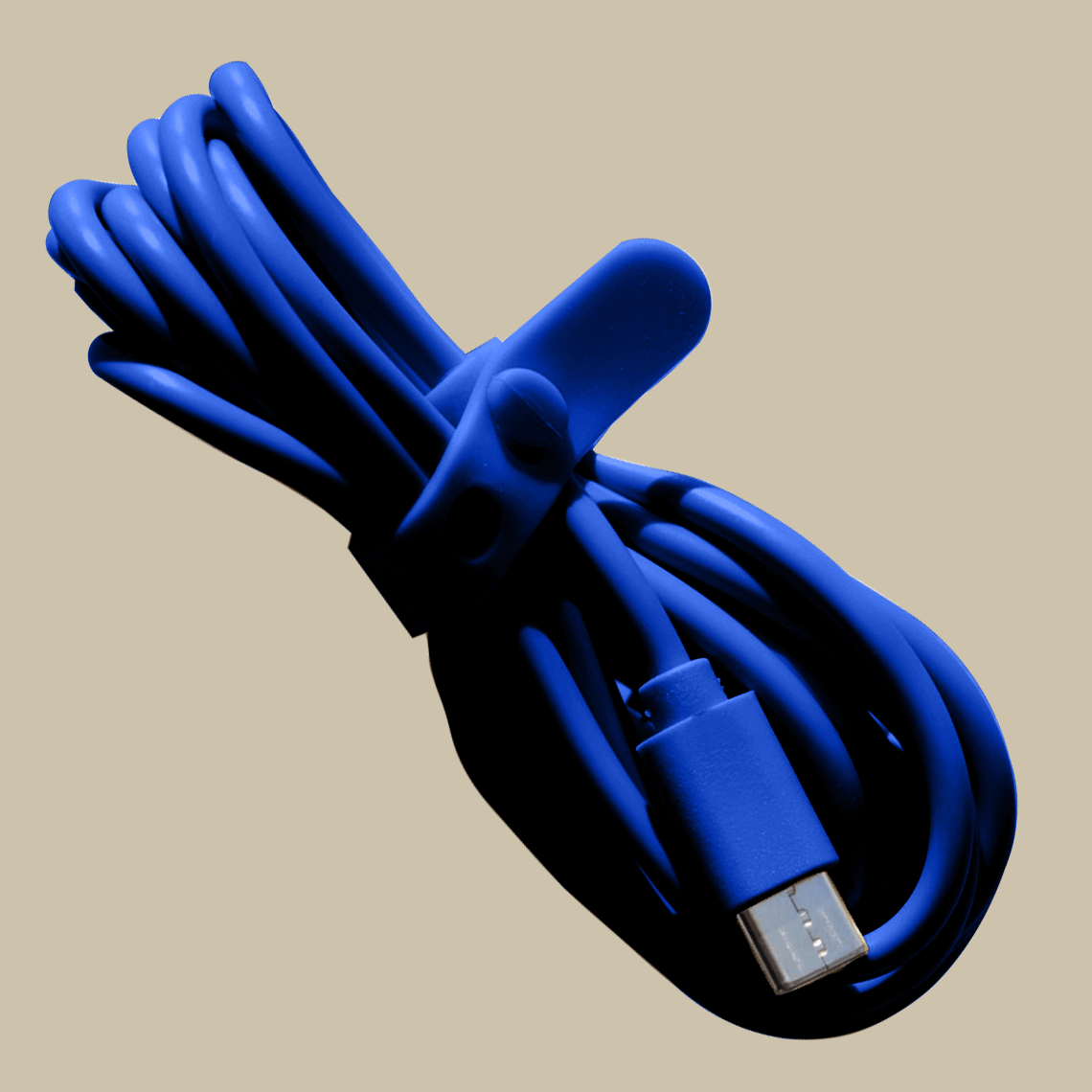 Blue USBC charging cable for Poplight wall sconce USB to USBC