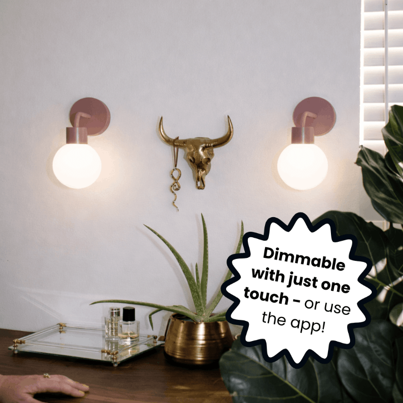 Two Poplight dusty rose wall sconces on the wall with animal head wall accent