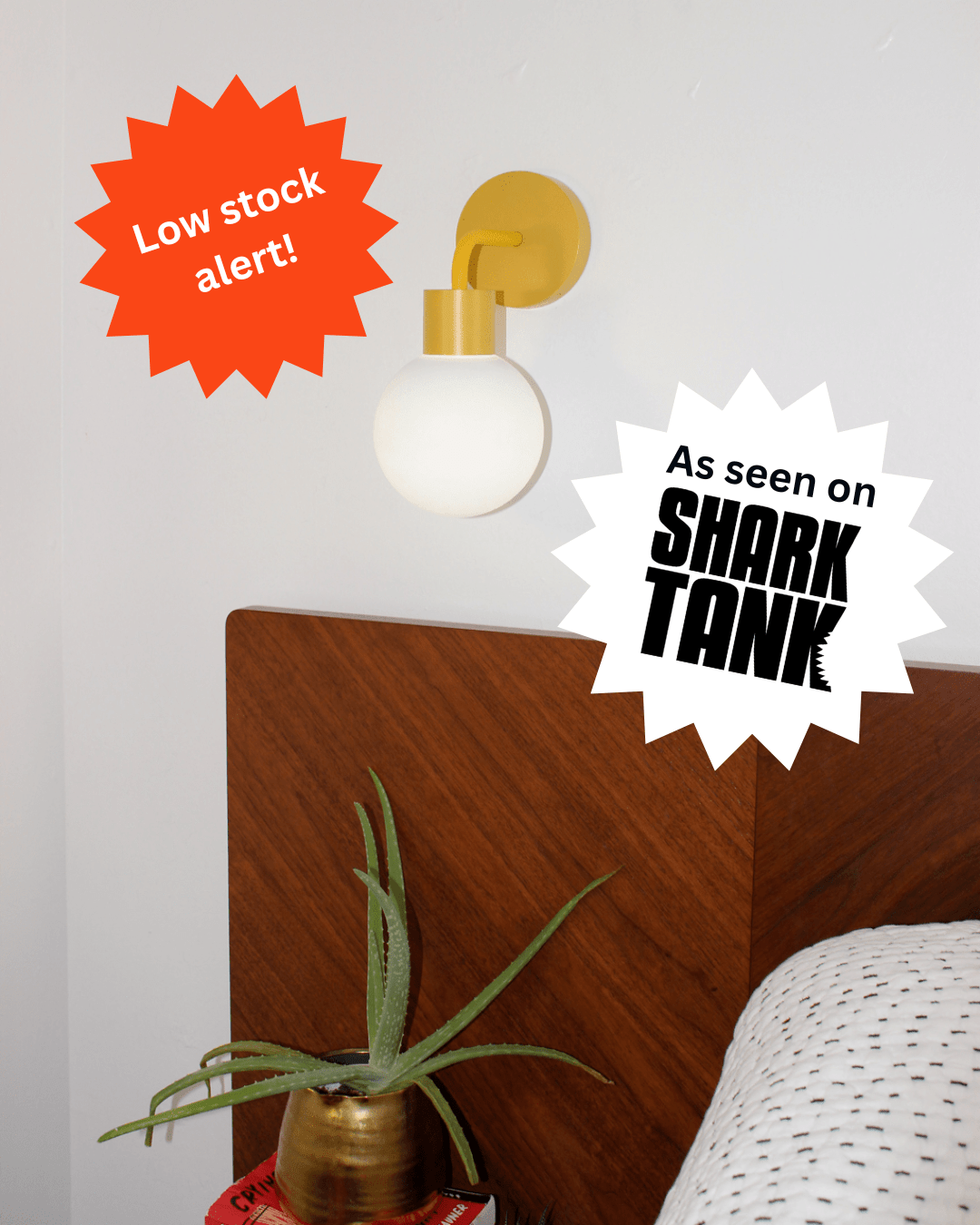 STOP Using the Big Light Special Bundle Offer