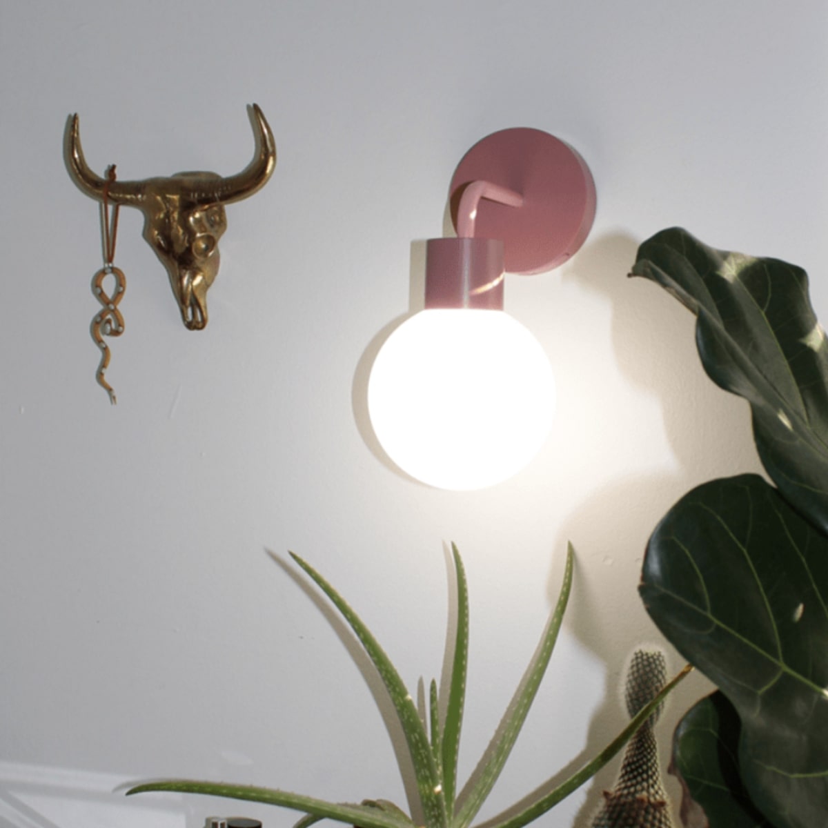 Dusty Rose Poplight displayed next to brass bull skull wall hook and surrounded by indoor plants