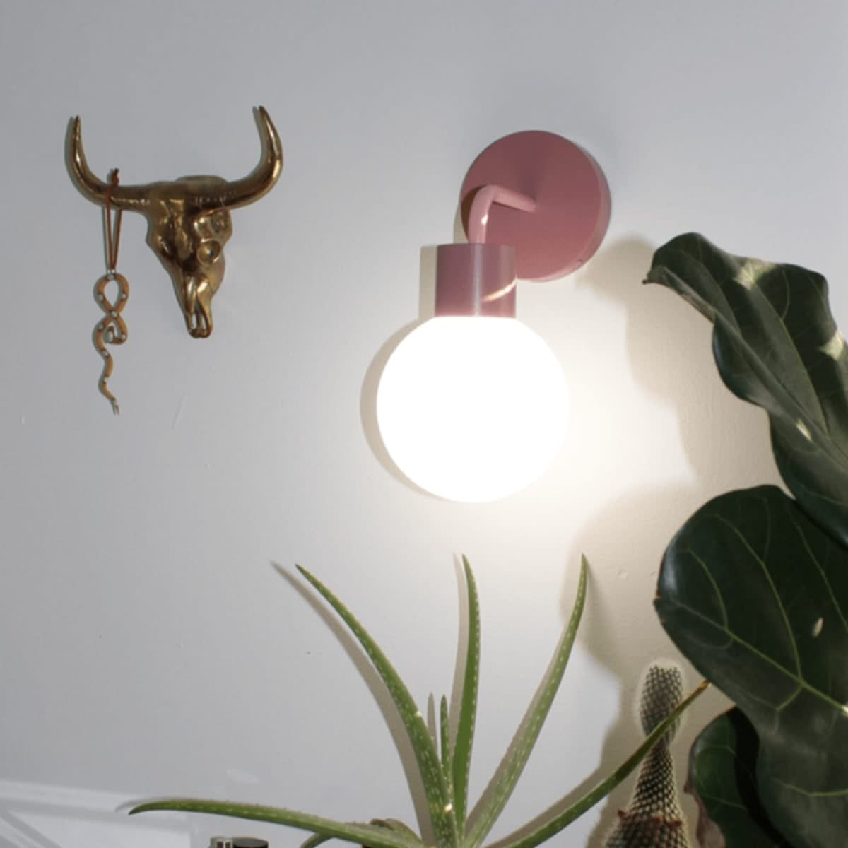 Dusty Rose Poplight displayed next to brass bull skull wall hook and surrounded by indoor plants