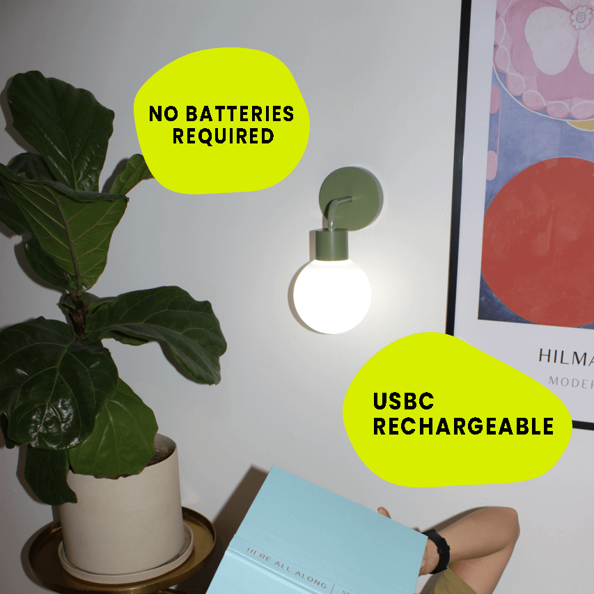 Sage green wall lighting with plant and light blue book