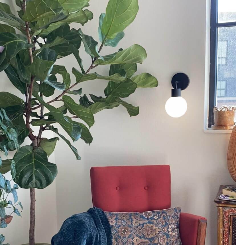 Wireless wall light sconce, an indoor plant and a red armchair