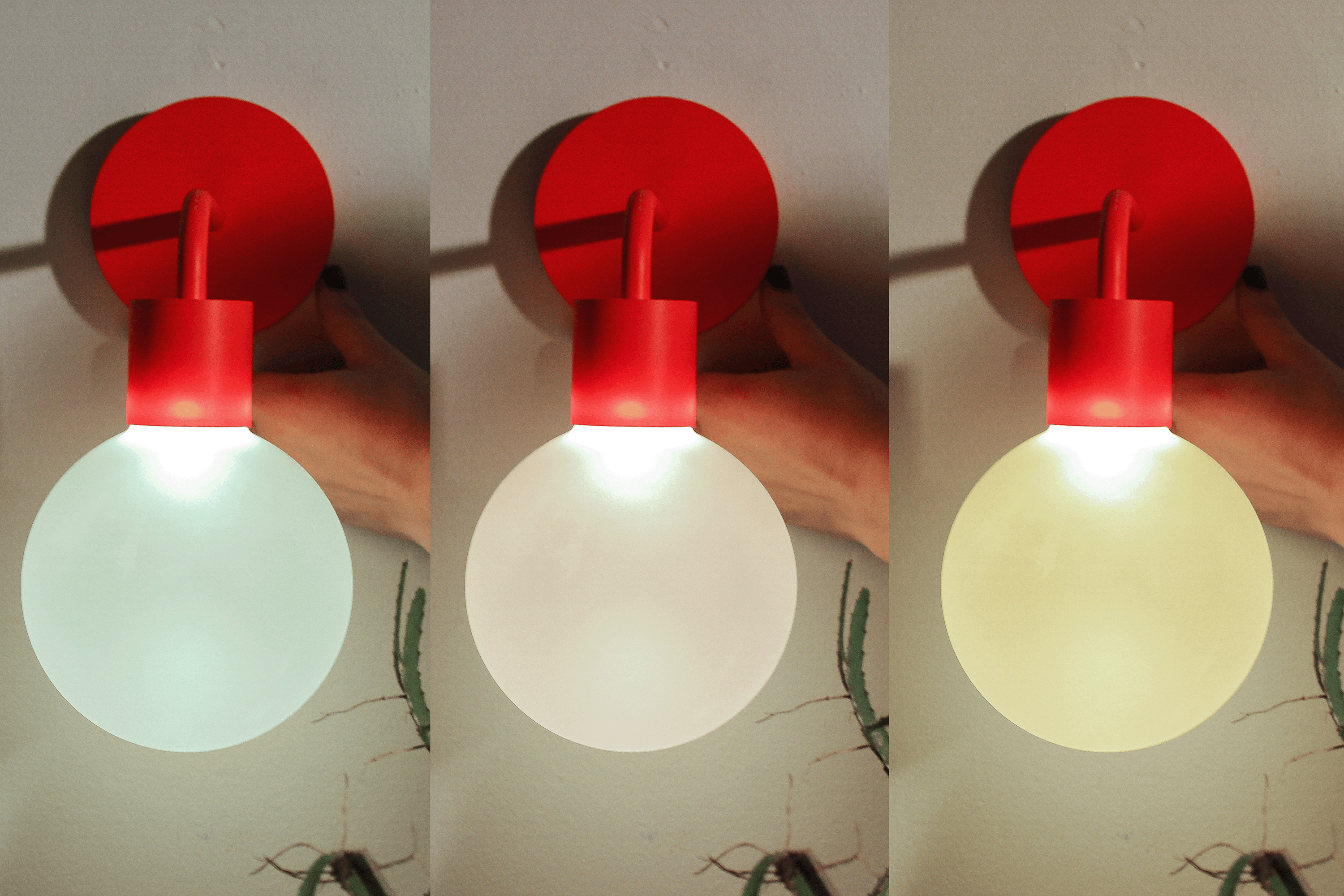 Poplight rechargeable wall light sconce with 3 color temperature options