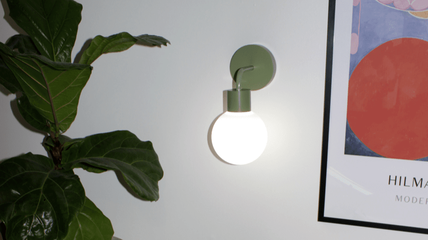 Sage green rechargeable wall light sconce, an indoor plant and a wall frame