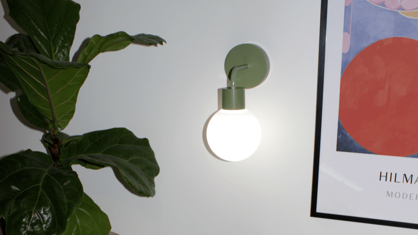 Sage green rechargeable wall light sconce, an indoor plant and a wall frame