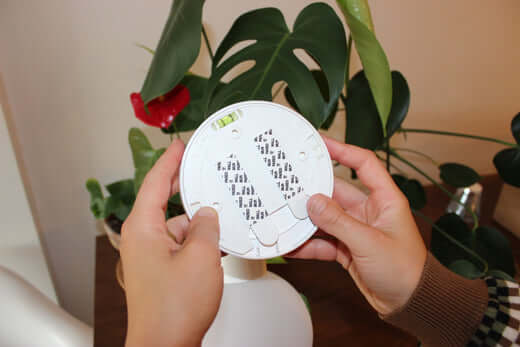 Person holding a circular wall mount for a light fixture, surrounded by indoor plants.