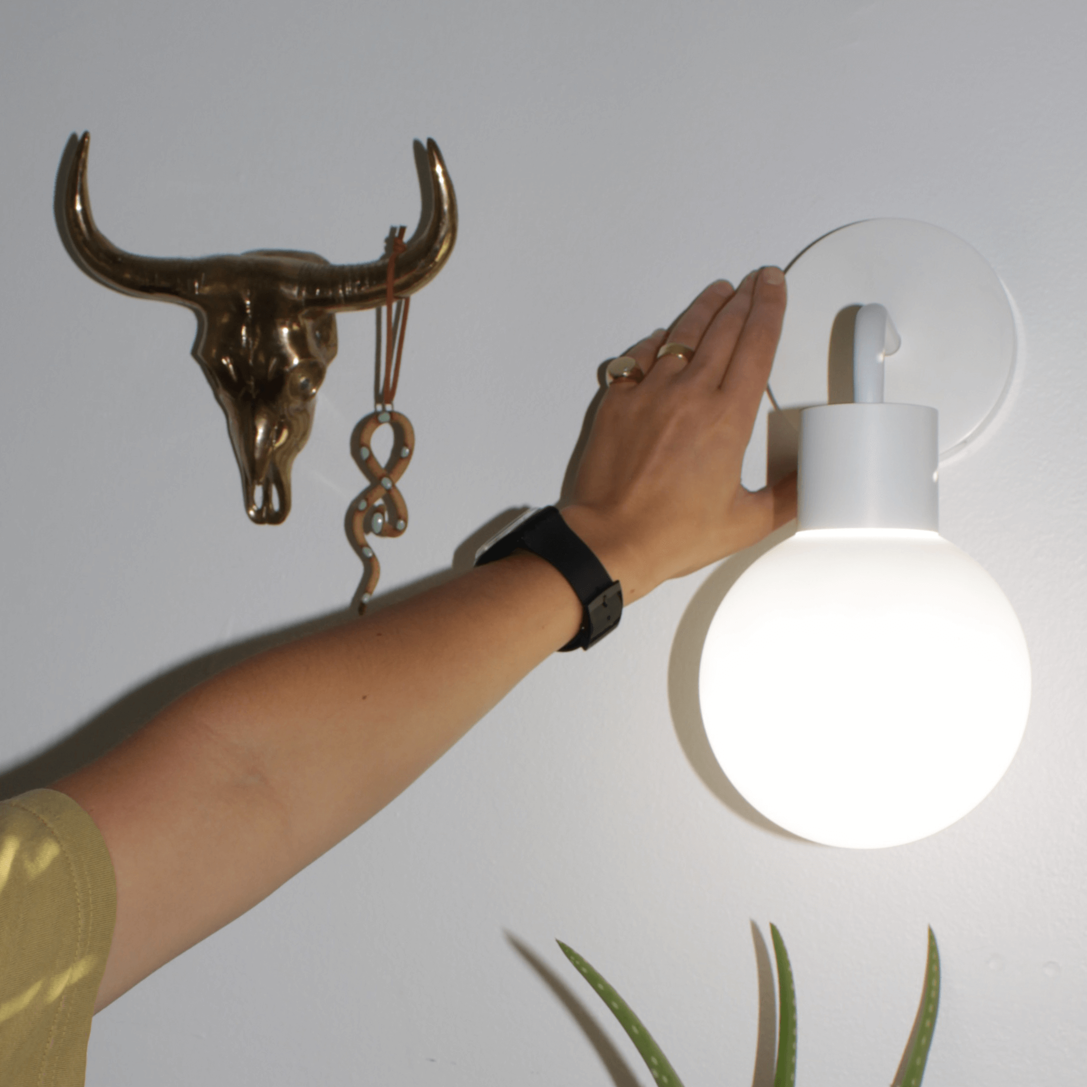 White Poplight easily installed beside an animal horn wall decor